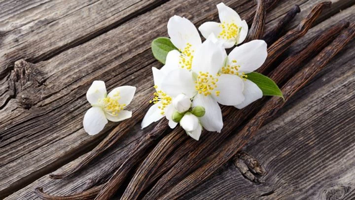 Η αρωματική βανίλια με τα απίστευτα οφέλη για τον οργανισμό